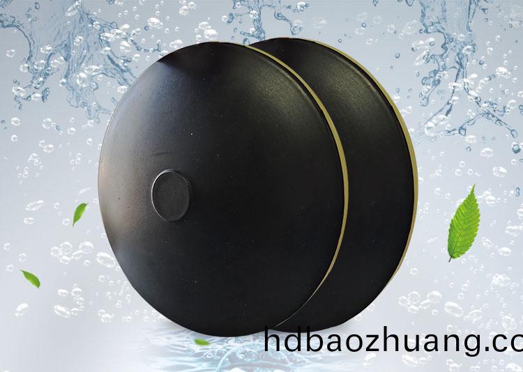 BPB薄盤(pan)型盤式(shi)曝(pu)氣器(qi)